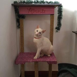 Meet your Posher, Nadia